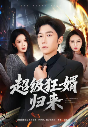 超级狂婿归来（81集）番茄短剧看全集