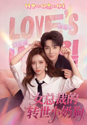 女总裁的转世小奶狗（30集）UC网盘在线看