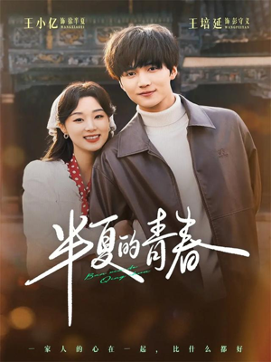 半夏的青春（80集）热门短剧又来了