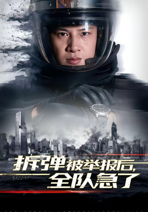 拆弹被举报后,全队急了(50集) 拆弹被举报后,全队急了(50集)好看的短剧推荐