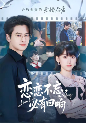 恋恋不忘，必有回响（80集）推荐好短剧