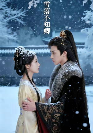 雪落不知卿（62集）好看短剧看不停