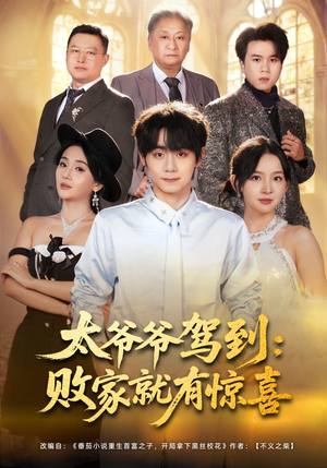 太爷爷驾到：败家就有惊喜（80集）经典老剧免费看