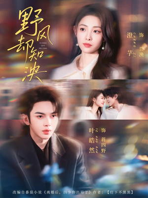 野风却知泱（80集）短剧热门推荐