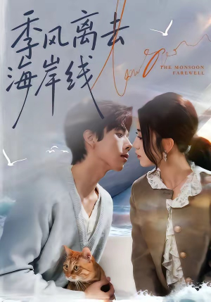 季风离去海岸线（64集）在线免费观看
