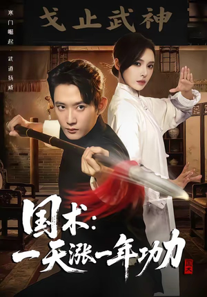 国术，一天涨一年功力（66集）全集一次看完