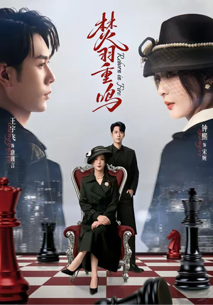 焚羽重鸣（60集）女主谁演的