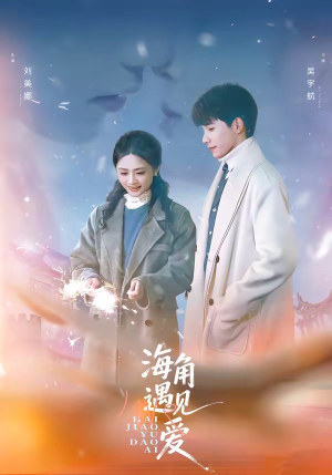 海角遇见爱（40集）大结局太过瘾了