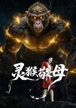 灵猴敬母（50集）精彩短剧天天看