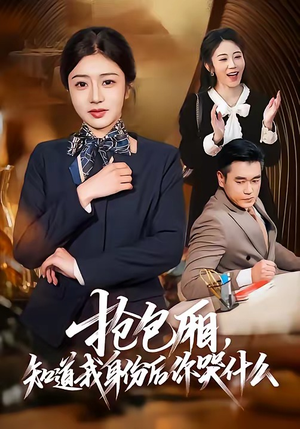 抢包厢，知道我身份后你哭什么（70集）最新热门短剧