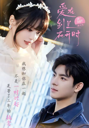 爱在剑兰花开时（56集）口碑爆棚免费看