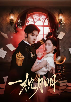 一枕月明（65集）演的怎么样