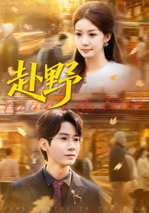 赴野（40集）80到100集