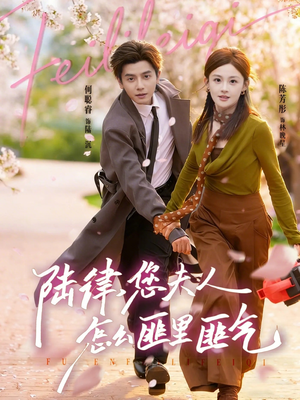 陆律，您夫人怎么匪里匪气（60集）好看的短剧分享