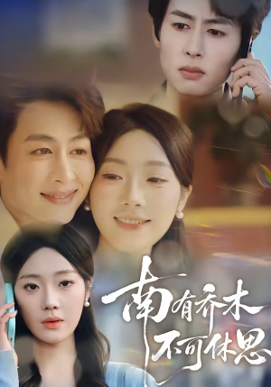 南有乔木，不可休思（68集）短剧全集更精彩
