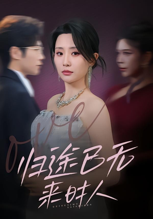 归途已无来时人（70集）免费全集短剧