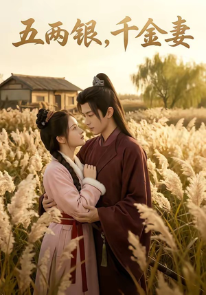 五两银，千金妻（60集）推荐你们也去看