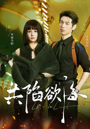 共陷欲海（66集）热门短剧在线看