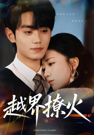 越界撩火（64集）夸克在线观看