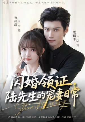 闪婚领证，陆先生的宠妻日常（86集）短剧分享剧集
