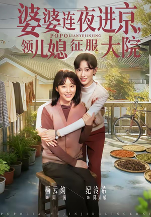 婆婆连夜进京，领儿媳征服大院（78集）大结局