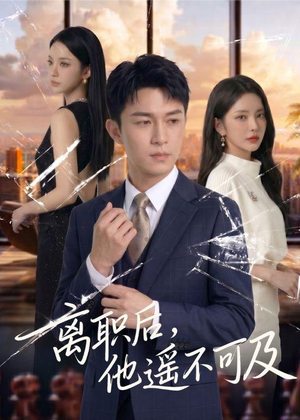 离职后，他遥不可及（55集）热门短剧大全