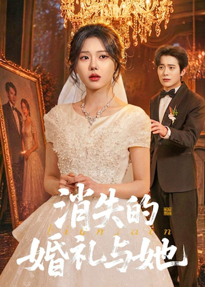 消失的婚礼与她（70集）在线看免费版
