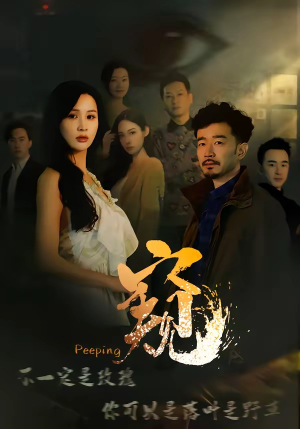 窥伺（37集）更新时间