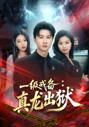 一级戒备：真龙出狱（73集）热门短剧推荐。