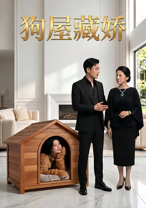 狗屋藏娇（52集）在哪个平台看
