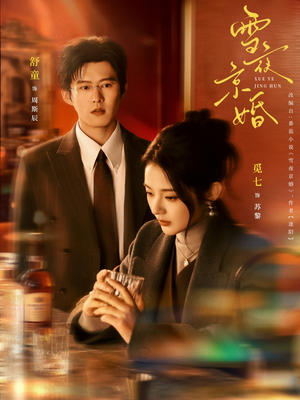 雪夜京婚（84集）好看吗