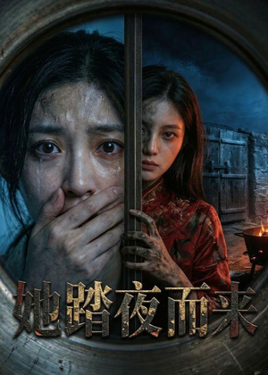她踏夜而来（40集）看过的人都说好
