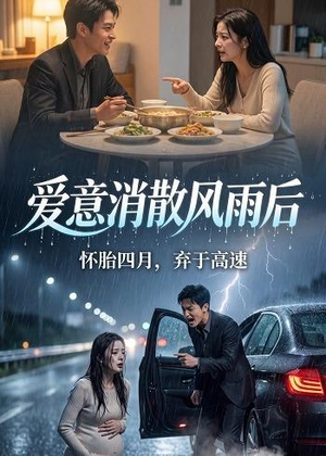 爱意消散风雨后（52集）好看的短剧电影