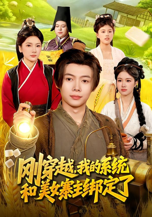 刚穿越，我的系统和美女寨主绑定了（98集）大结局太过瘾了