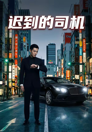迟到的司机（31集）免费观看