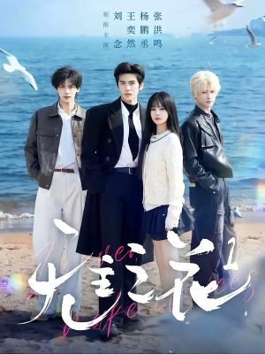 无主之花1（72集）短剧精彩绝伦