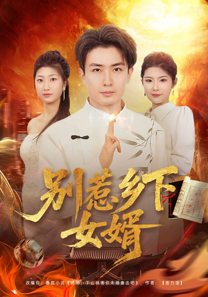 别惹乡下女婿（80集）快来看短剧