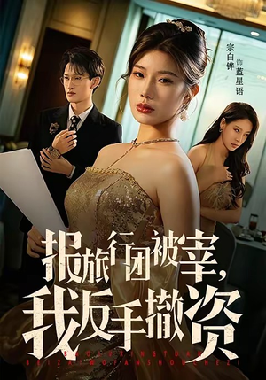 报旅行团被宰，我反手撤资（59集）海量短剧免费看