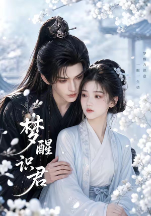 梦醒识君（16集）全集免费观看