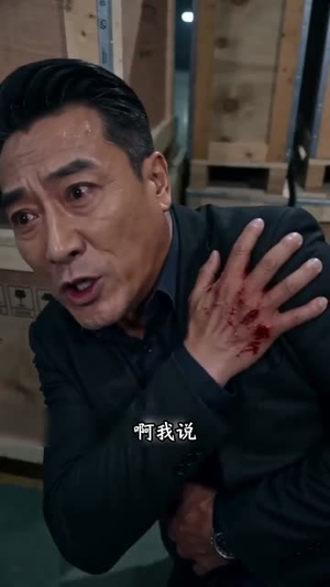 父辱子归（20集）热门短剧追不停
