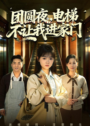 团圆夜，电梯不让我进家门（52集）短剧热播推荐
