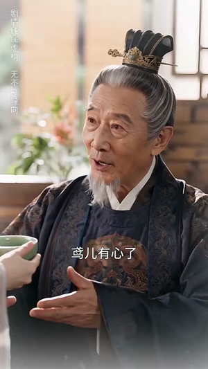 鸢飞戾天（50集）全集完整版
