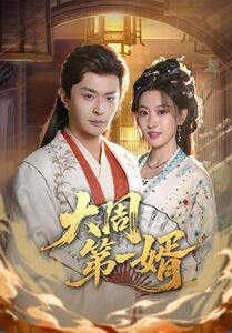 大周第一婿（114集）经典老剧免费看