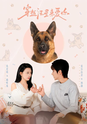 穿越汪星来爱你（62集）古装短剧热播