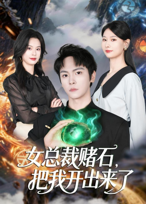 女总裁赌石，把我开出来了（76集）免费看全集