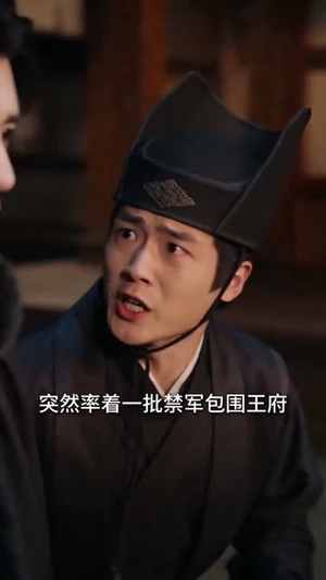 王妃一查账,满朝都慌了(62集) 王妃一查账,满朝都慌了(62集)直接看到大结局