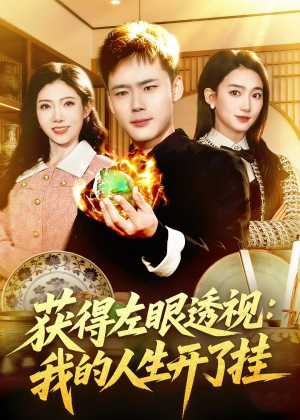 获得左眼透视：我的人生开了挂（102集）短剧排行榜