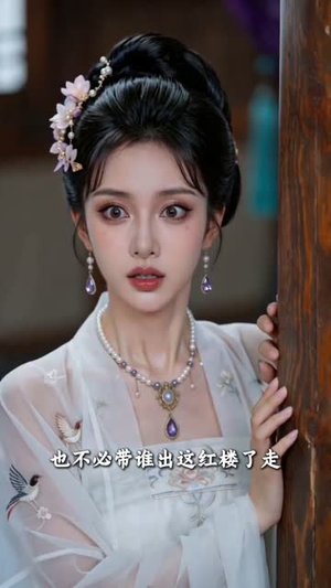 庶女惊华：朱楼覆嫡（47集）1-102集