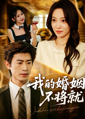 我的婚姻不将就(30集) 我的婚姻不将就(30集)免费看短剧全集