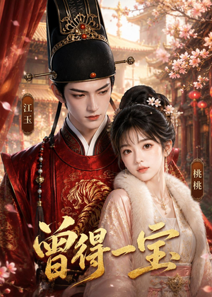 曾得一宝(19集) 曾得一宝(19集)直接看到大结局